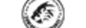 Damina Performance logo